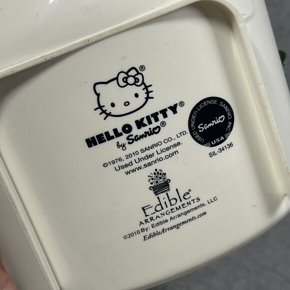 Hello Kitty Sanrio Bucket Edible‎ Arrangements Plastic Container HK Paper Roses - Picture 11 of 16